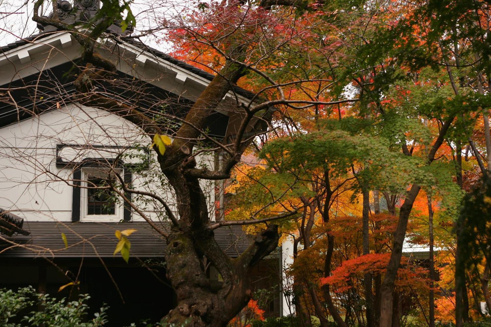 Sakan Sendai Ngoại thất bức ảnh